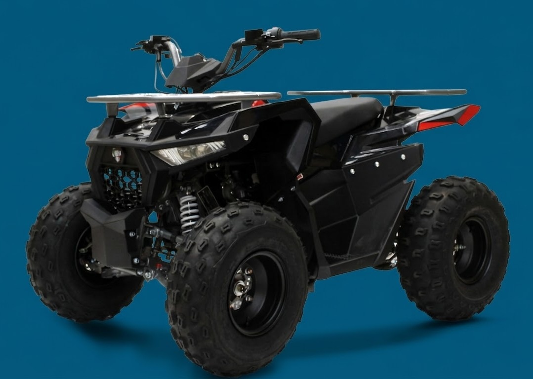 QUAD LEM HUMMER 125CC RUOTE 8